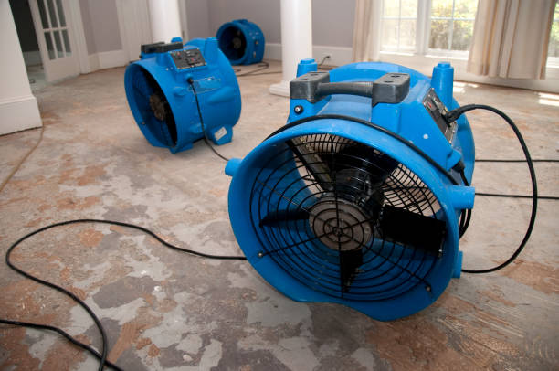 Trusted Water Damage Restoration in Jal, NM | Fast, Reliable, and Ready to Assist You